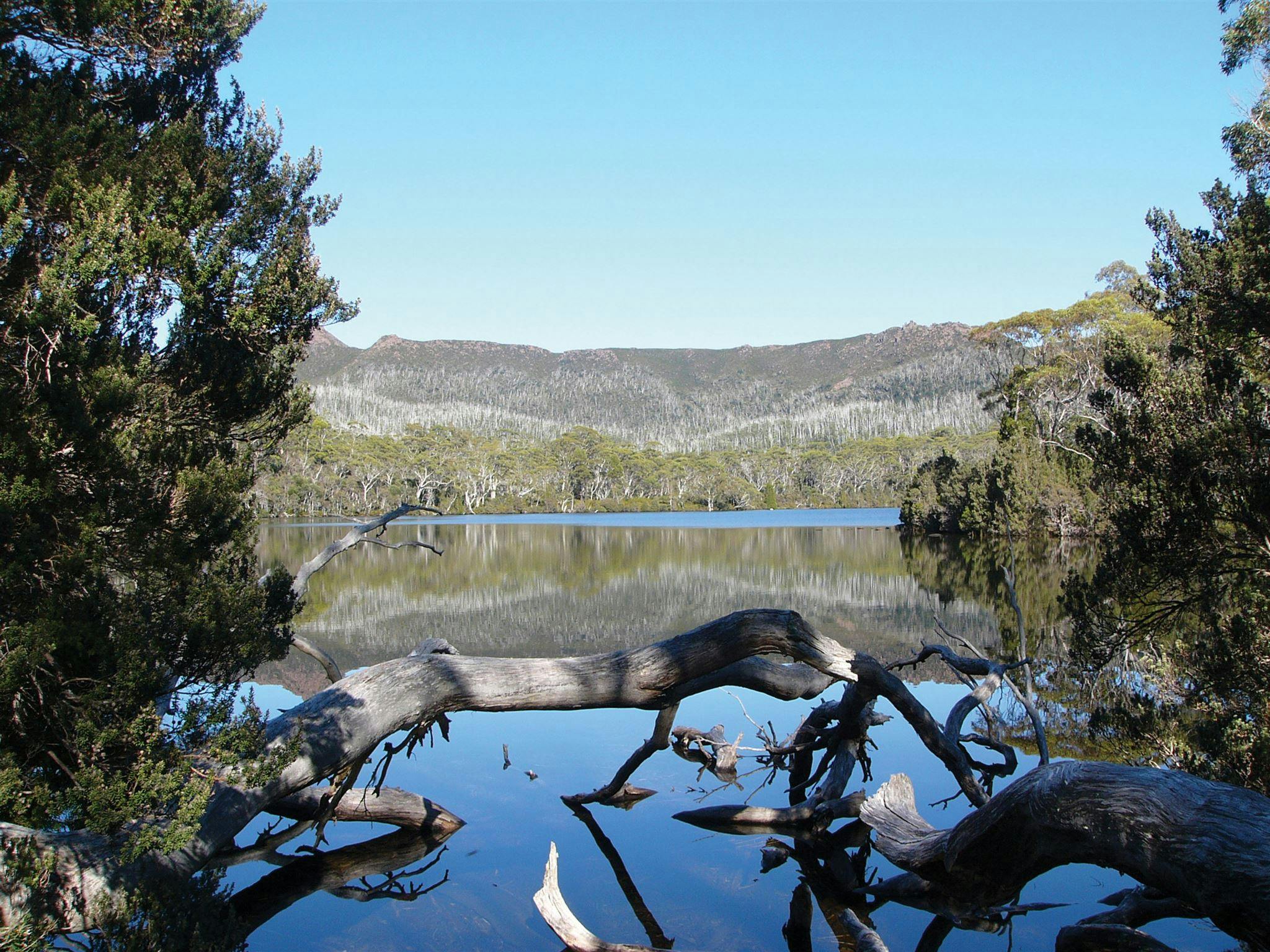 Hobart and Beyond Derwent Bridge