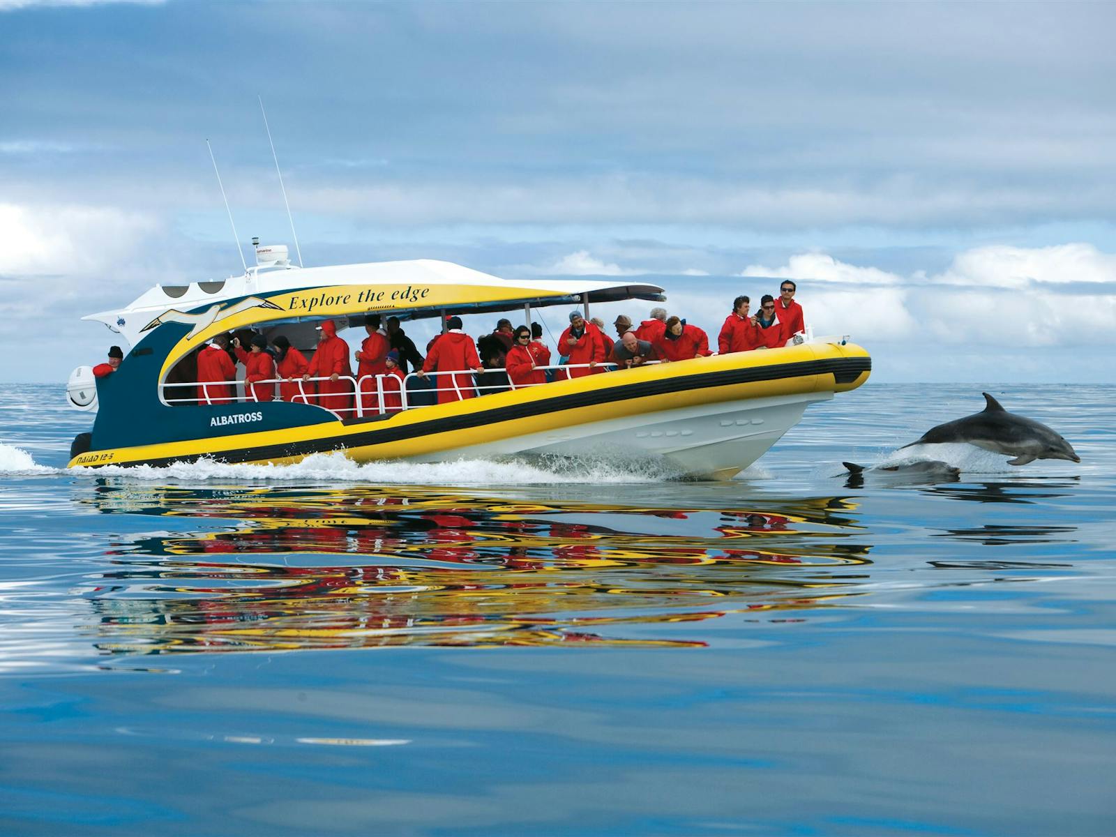 Bruny Island Cruises yellow boats