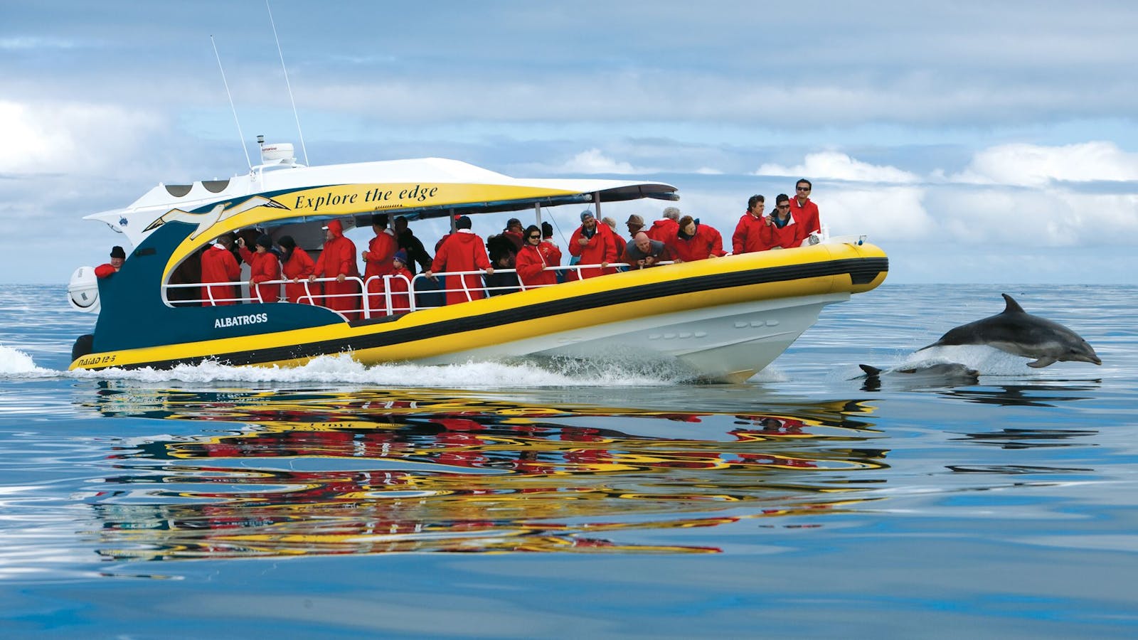 Bruny Island Cruises - Pennicott Wilderness Journeys