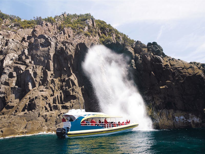 Bruny Island Cruises Pennicott Wilderness Journeys Discover Tasmania