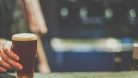 Saint John Craft Beer