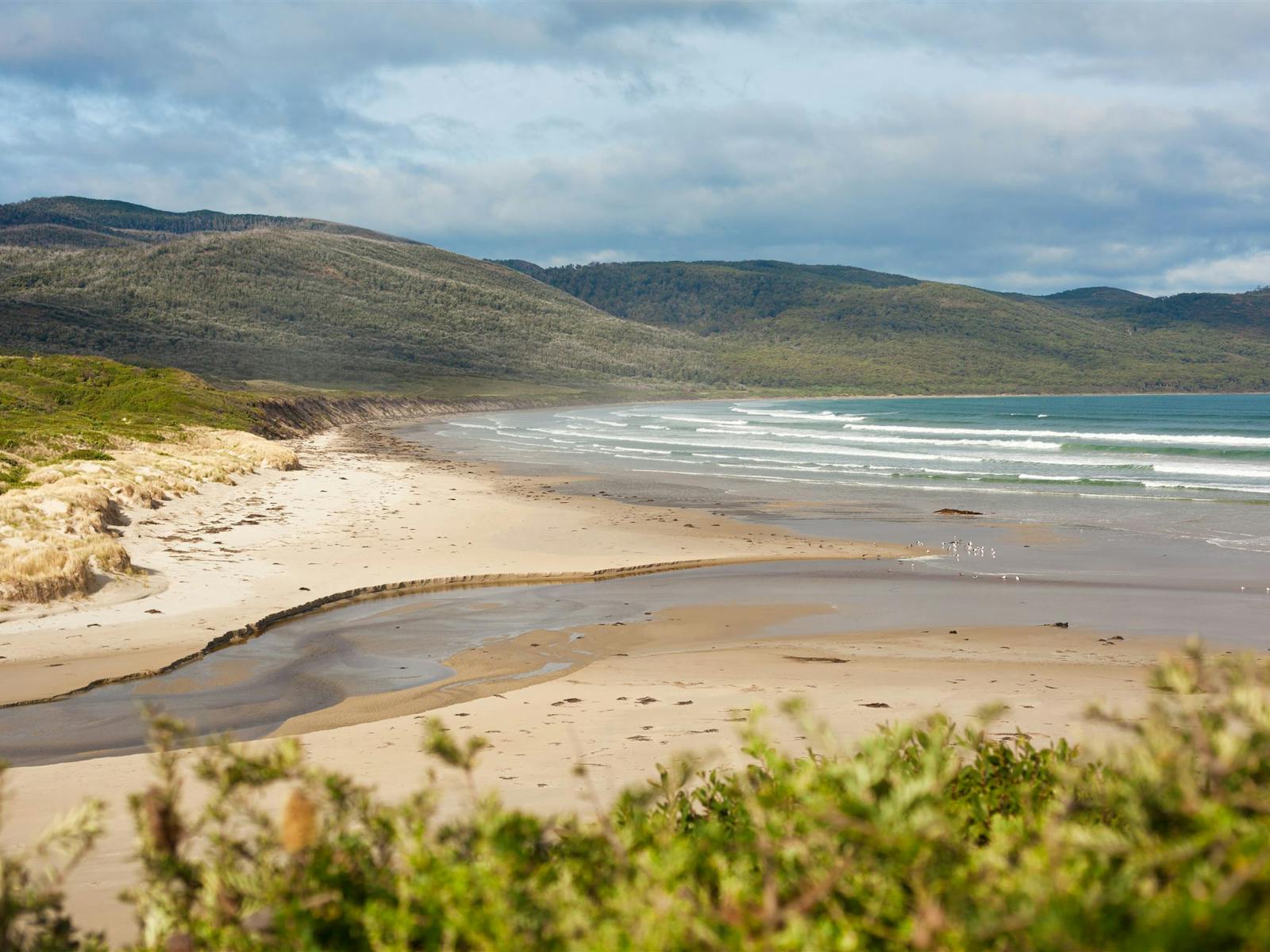 Cloudy Bay Beach Walk