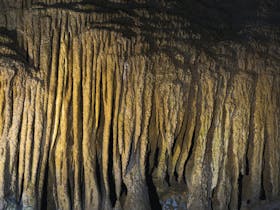 Hastings Cave