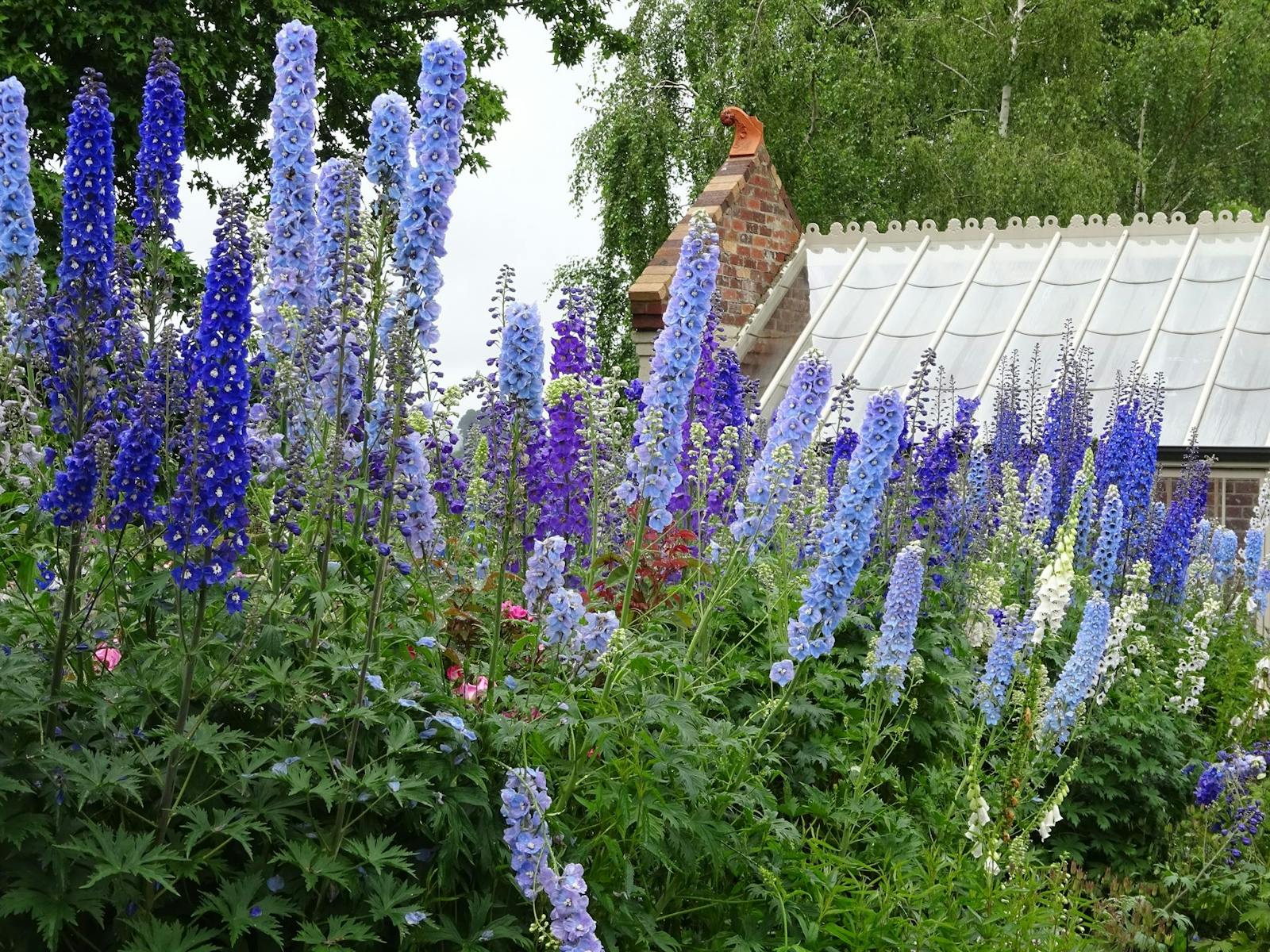 Picking garden and hot house