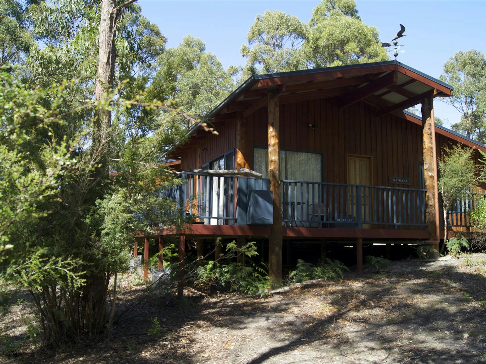 The deck of Nairana cottage provides great views of surrounding forest.