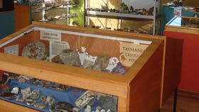 Lunaris Gemstones