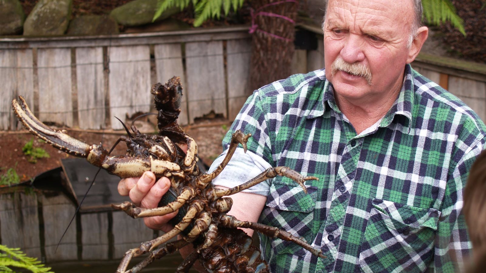 Lobster Ponds Haven
