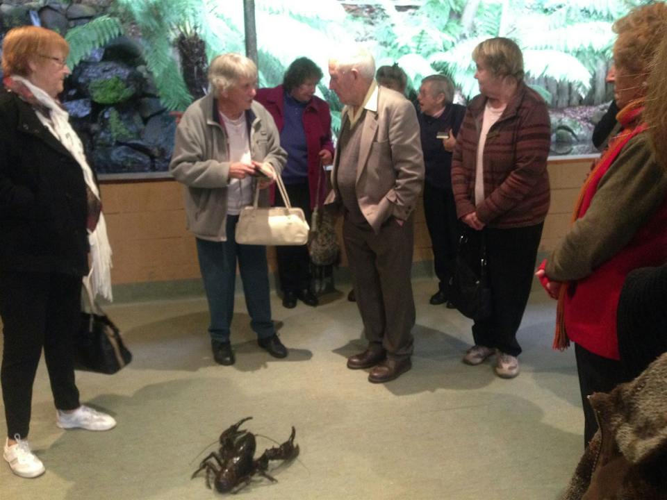 Lobster Ponds Haven photo