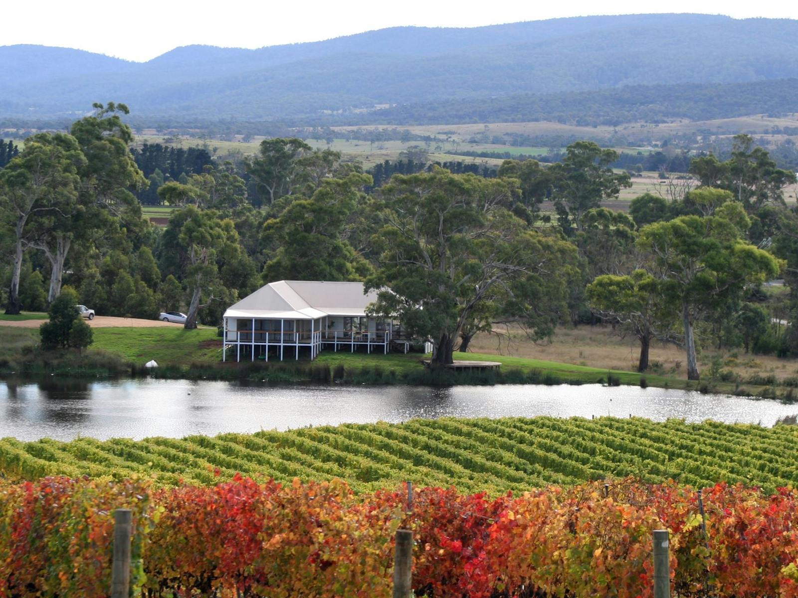 Milton Cellar Door from the Vineyard.