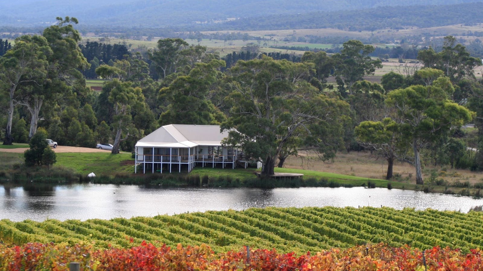 Milton Vineyard