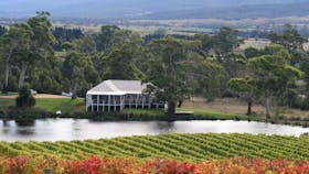 Milton Cellar Door from the Vineyard.