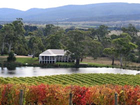 Milton Vineyard