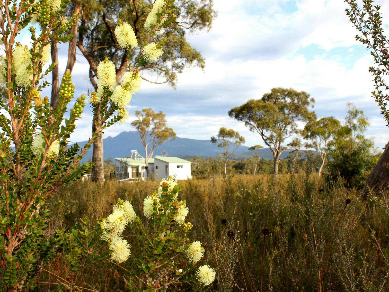 Self contained cabin Buttongrass Retreat