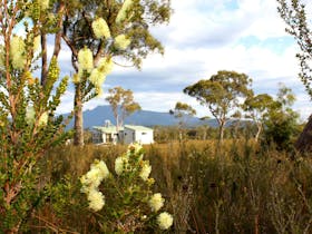 Buttongrass Retreat