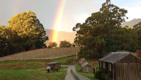 Rainbow at Hartzview Vineyard