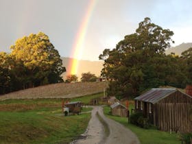 Hartzview Vineyard