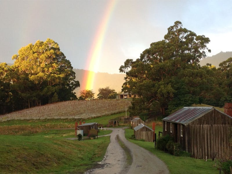 Rainbow at Hartzview Vineyard