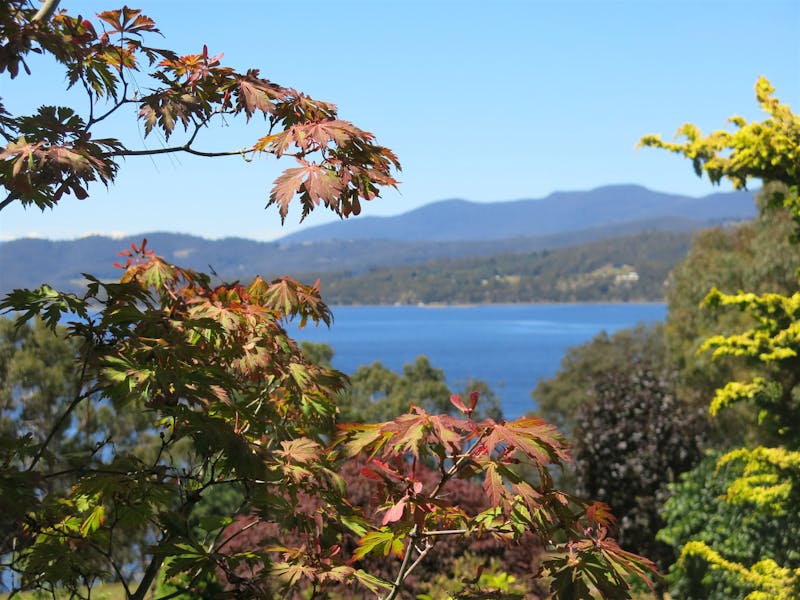 Enchanted Woods Discover Tasmania