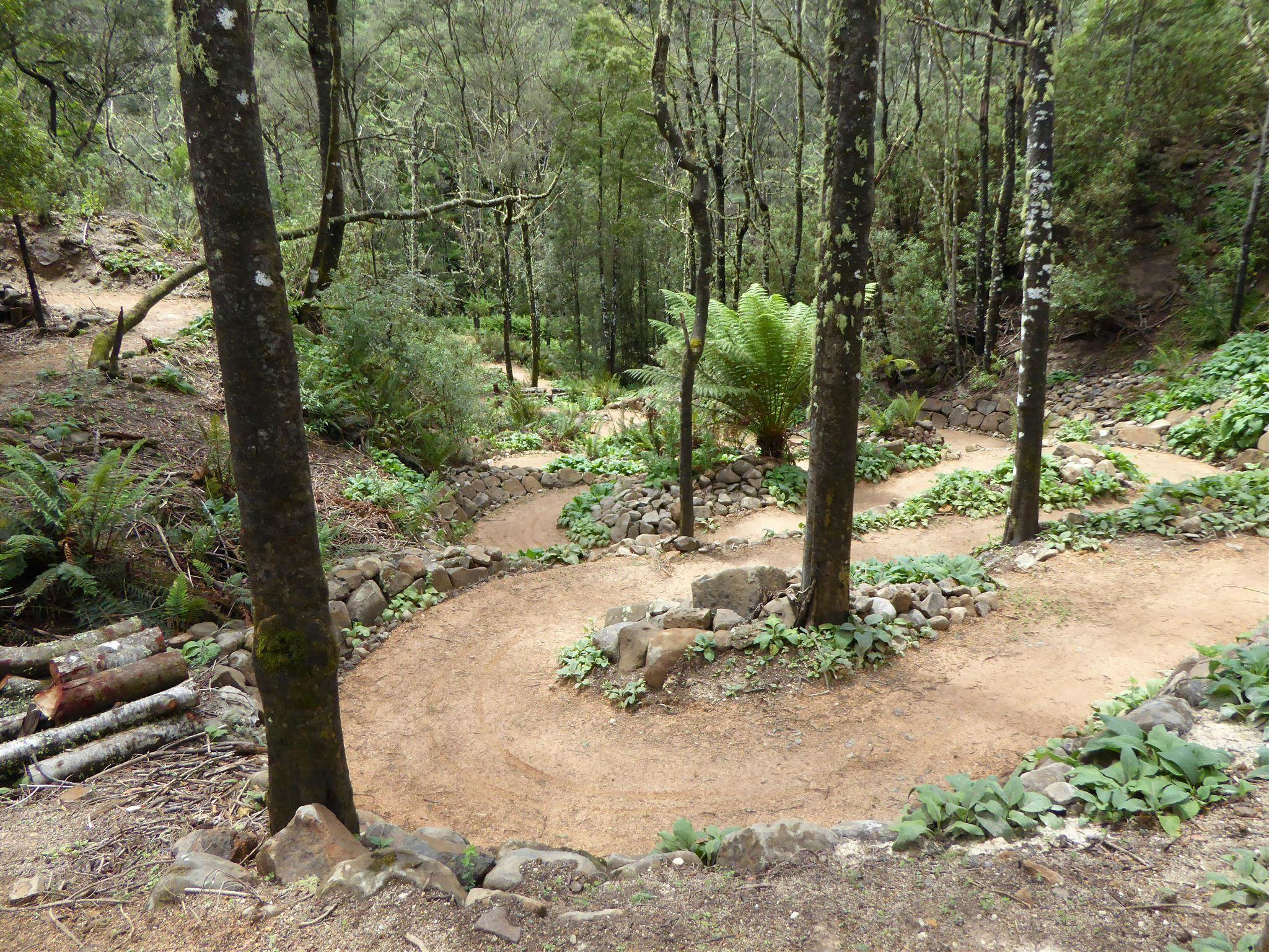 Mountain Bike Guides Tasmania