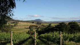 ATDW_Extra_Large_Landscape__9108657_OP1321_IMG_4451.JPG