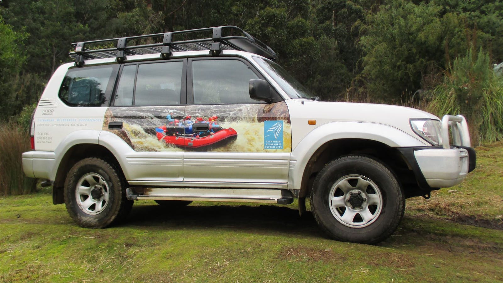 Tasmanian Wilderness Experience Transport and Tours