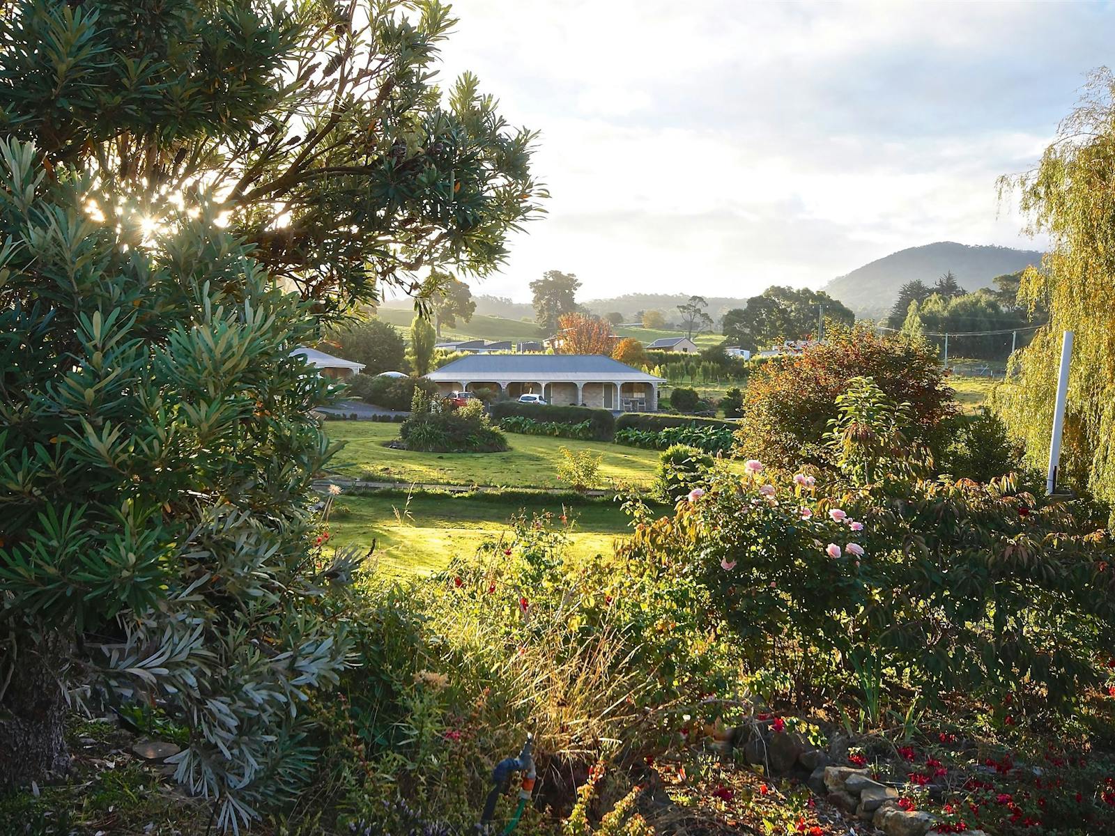 Garden with Studios nin background