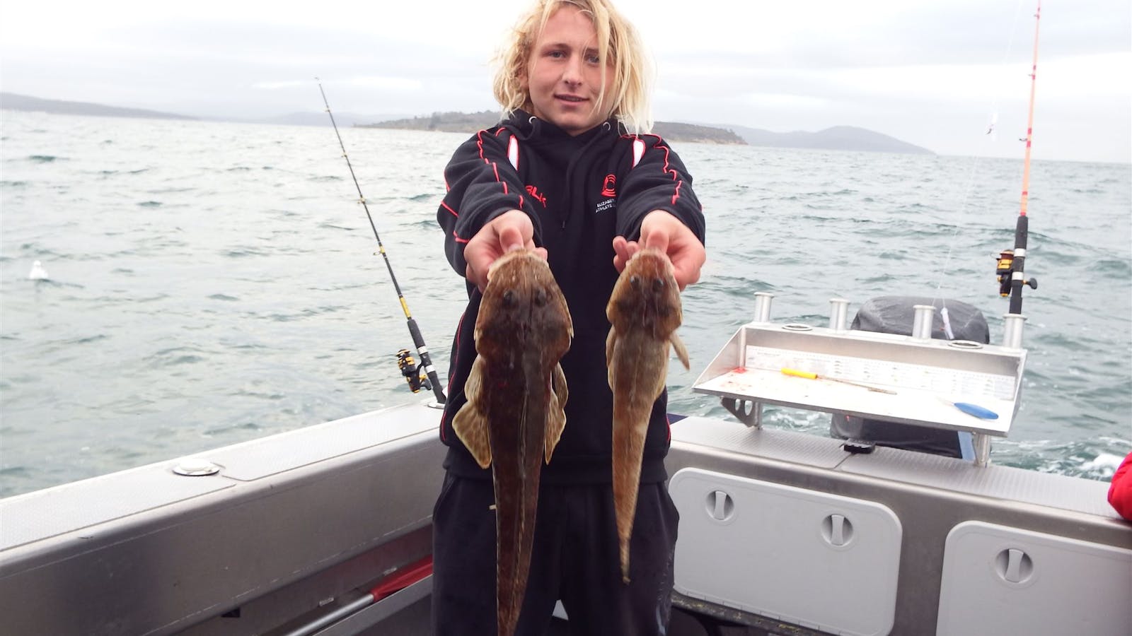 Mr Flathead