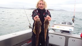 Mr Flathead