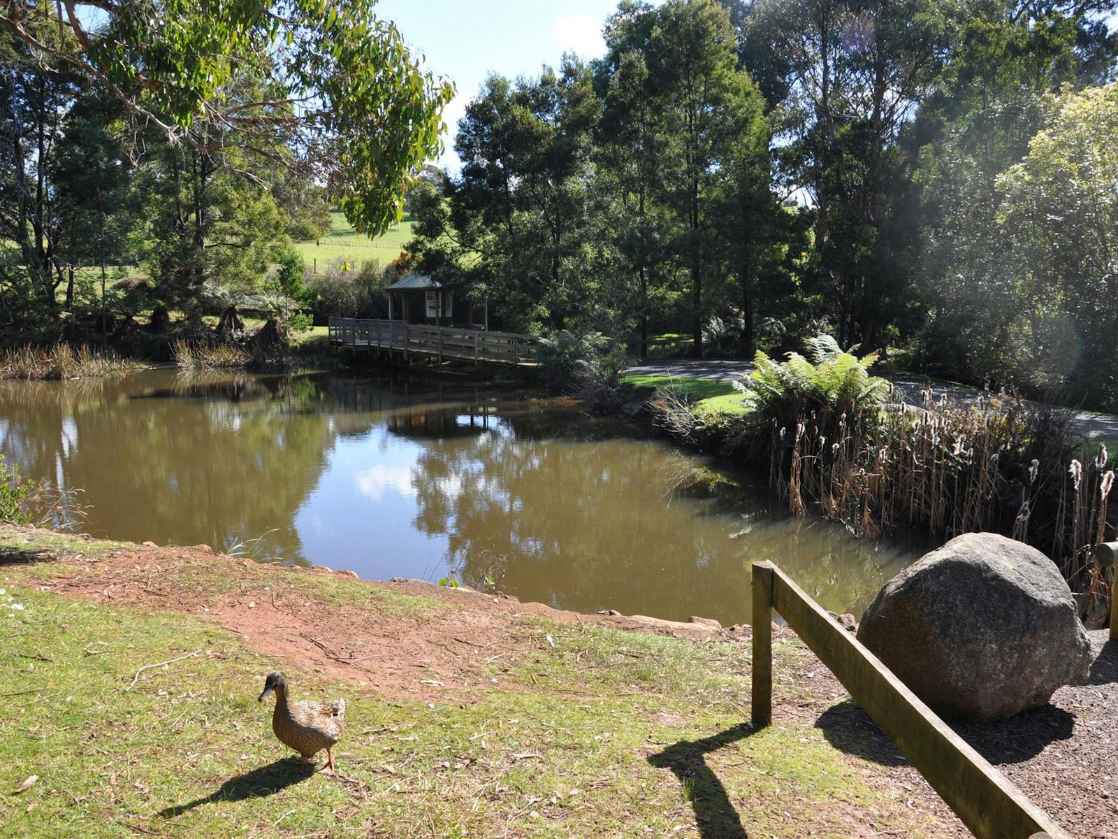 Northeast Park Duck Pond