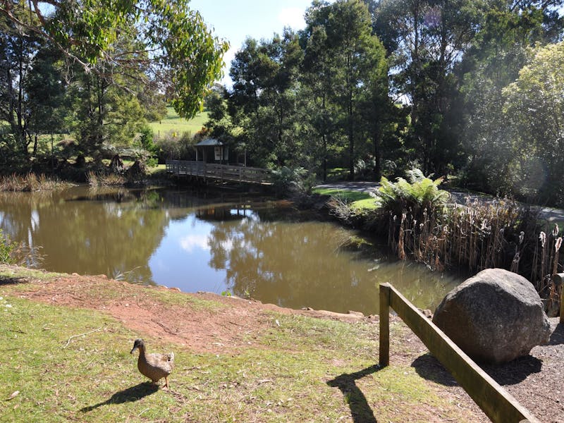 Northeast Park - Discover Tasmania