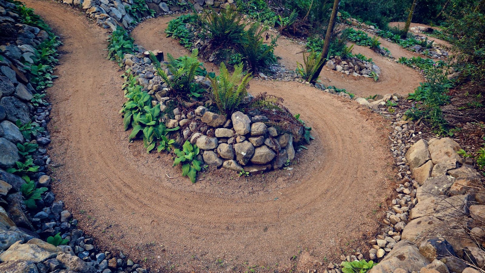 Blue Derby Mountain Bike Trails