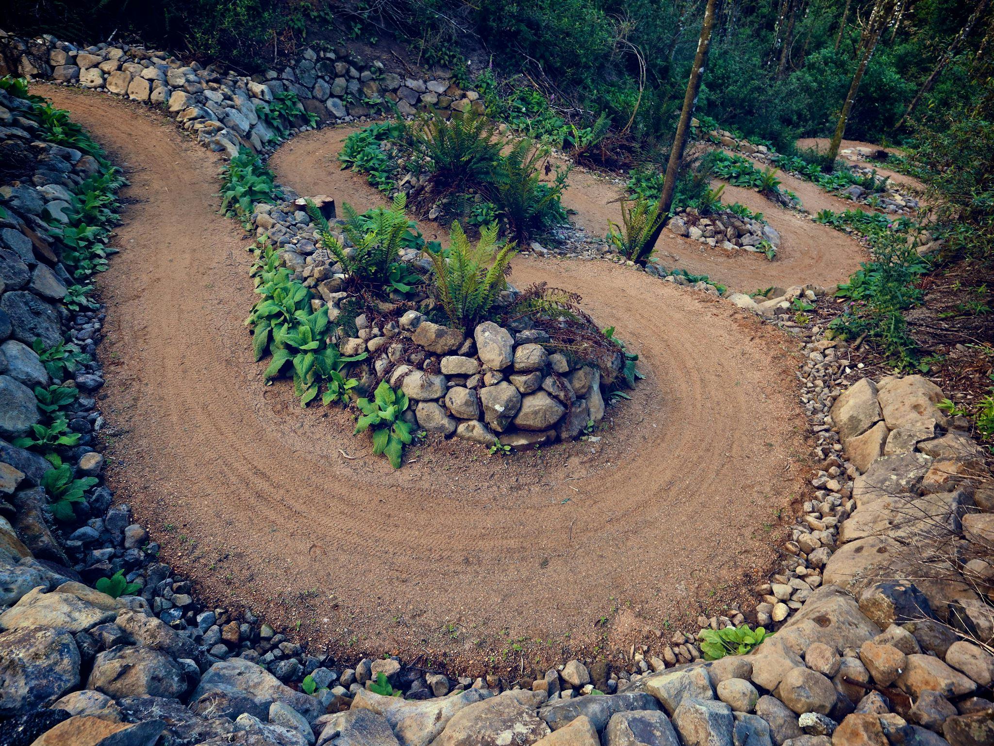 Axehead Trail 'Twisties', Blue Derby MTB Trails, North East Tasmania