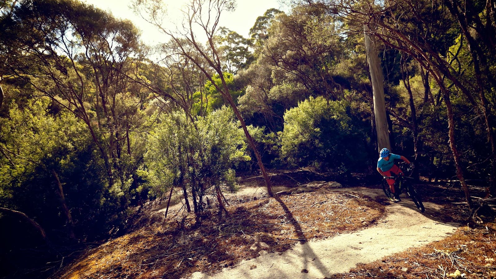 Blue Derby Mountain Bike Trails