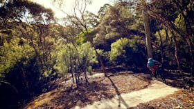 Blue Derby Mountain Bike Trails