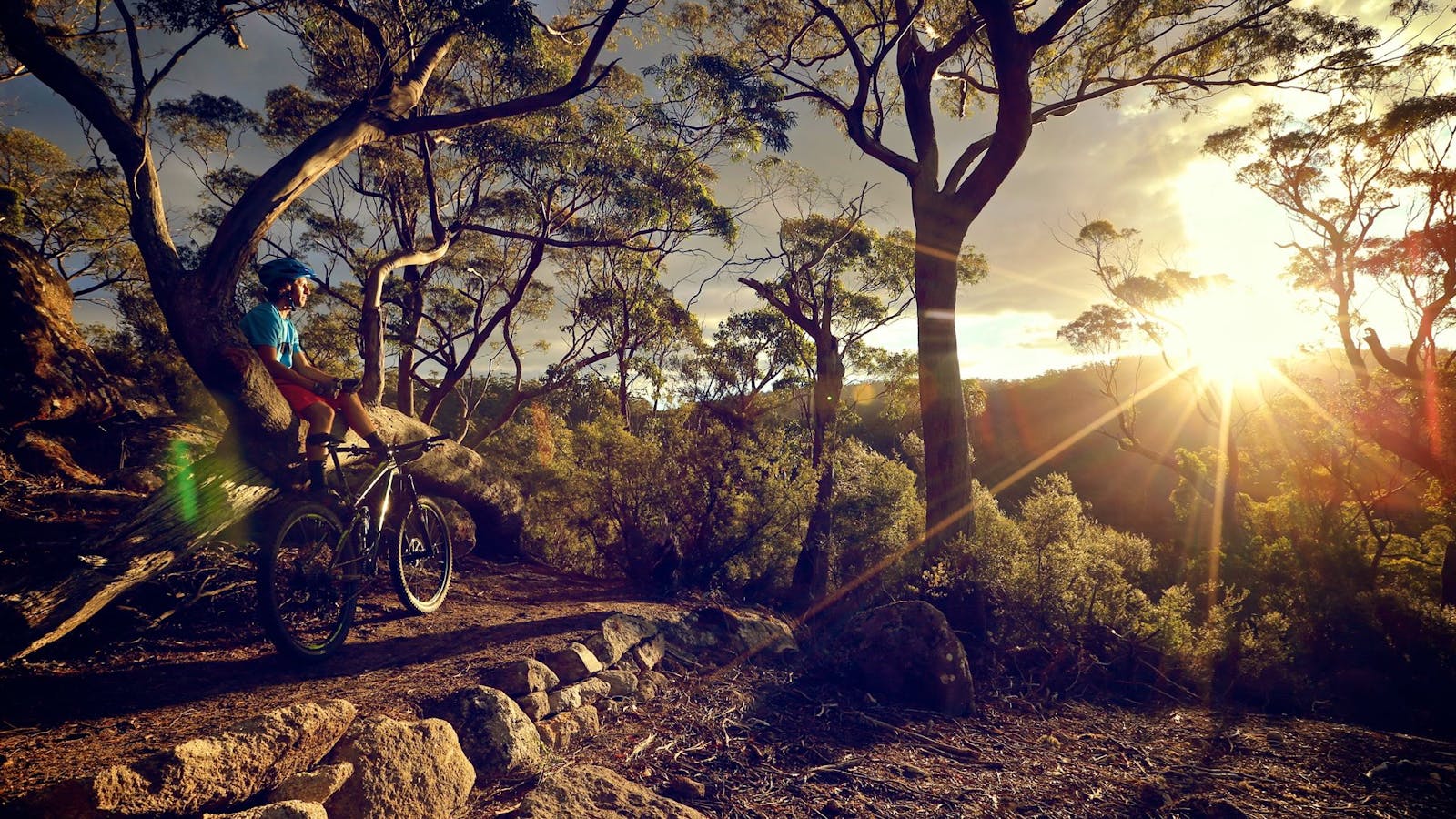 Blue Derby Mountain Bike Trails