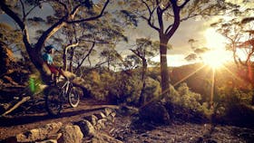 Blue Derby Mountain Bike Trails
