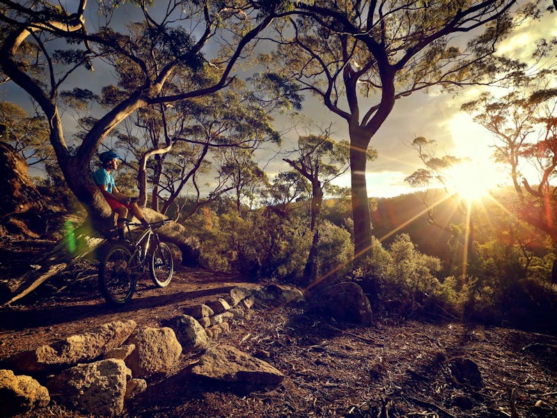 De La Vue Lookout - BlueDerby MTB Trails, North East Tasmania