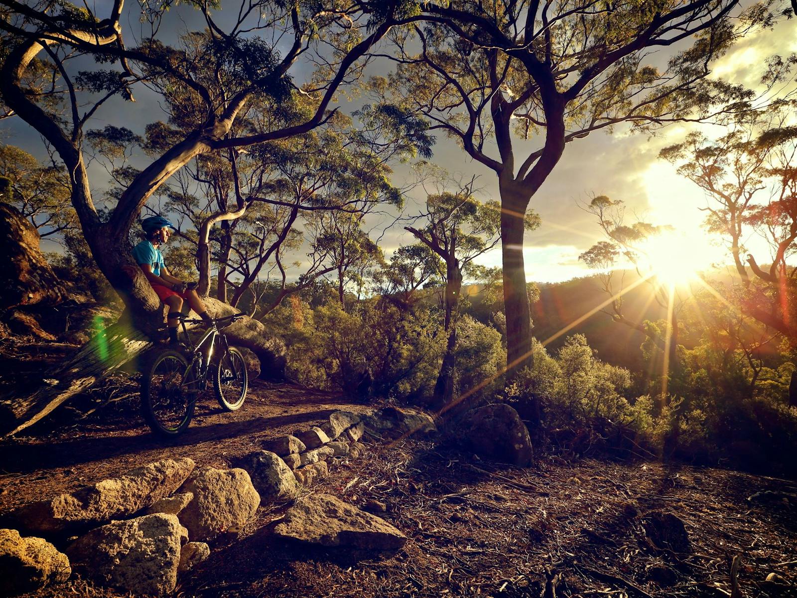 De La Vue Lookout - BlueDerby MTB Trails, North East Tasmania