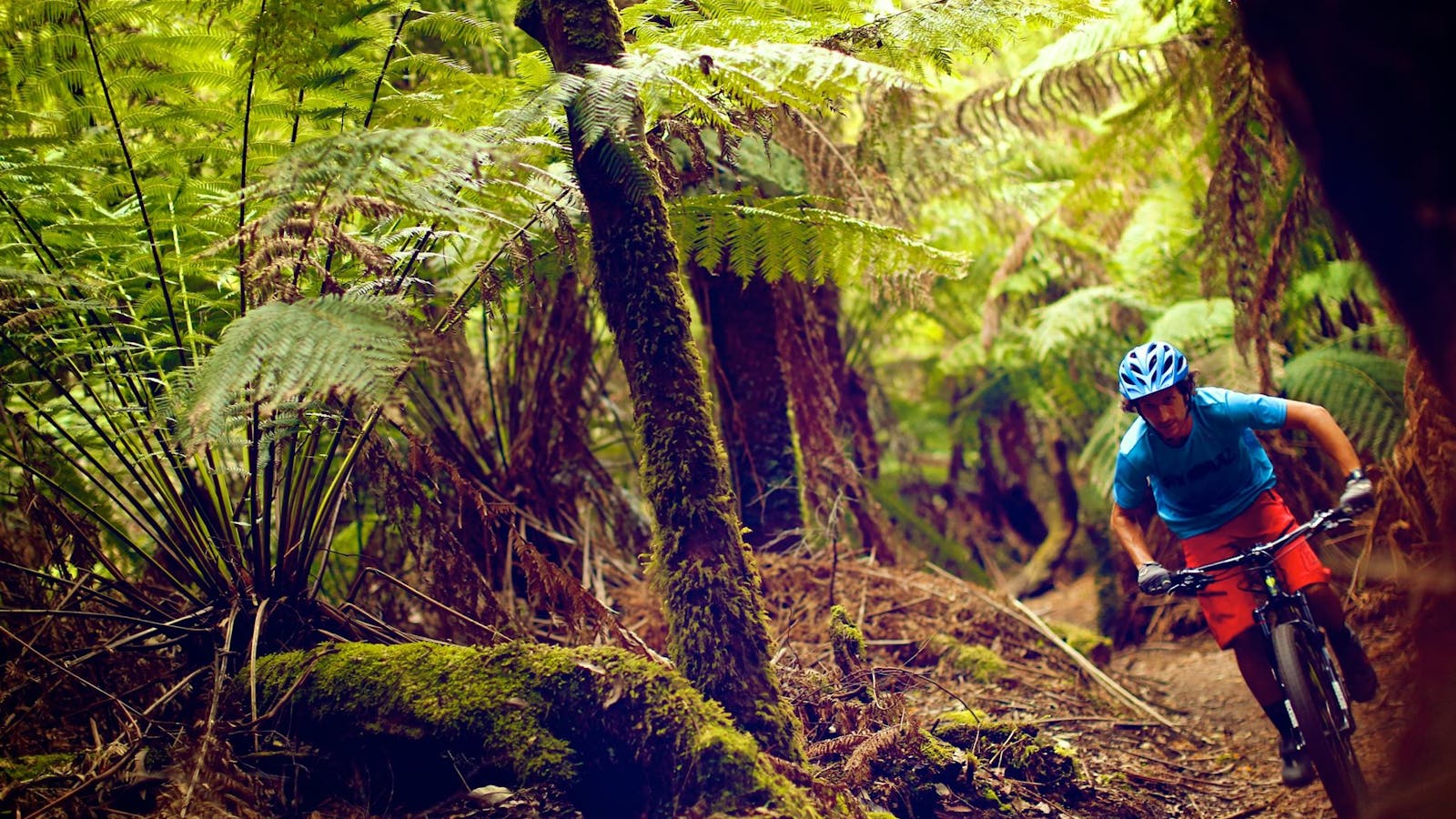 Blue Derby Mountain Bike Trails