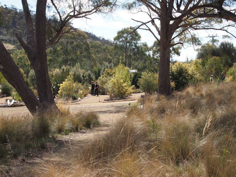 Tasmanian Bushland Garden Discover Tasmania