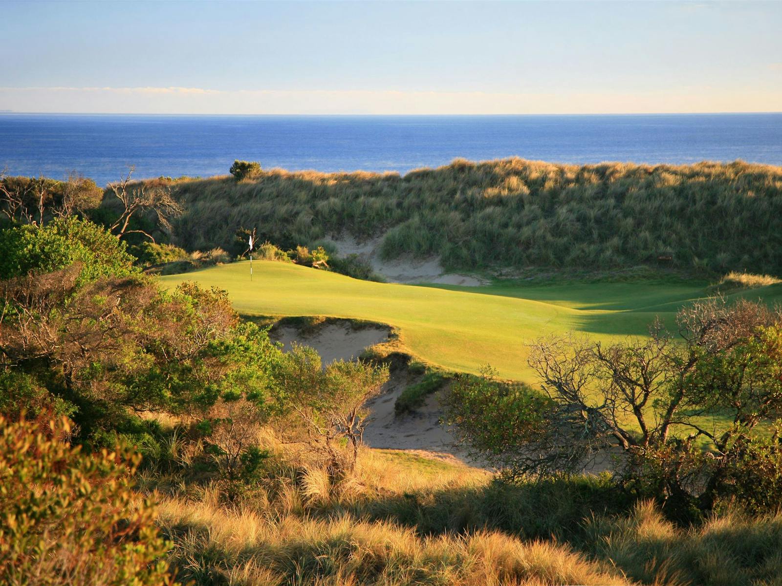 Barnbougle Dunes