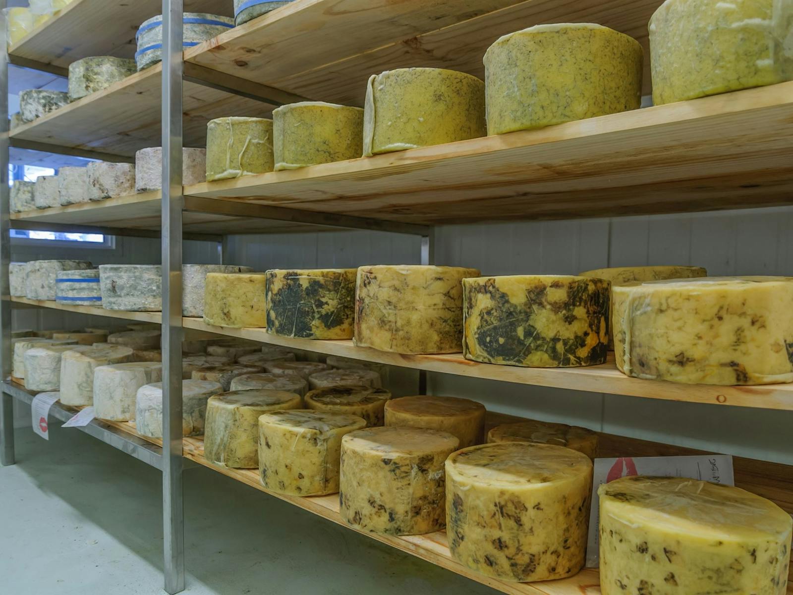 Cheddar Maturing Room