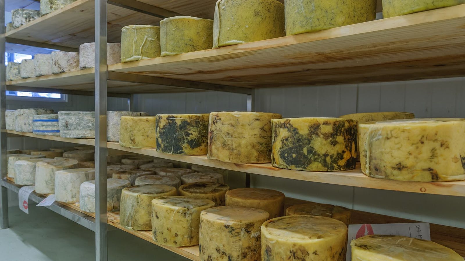 The Wicked Cheese Company