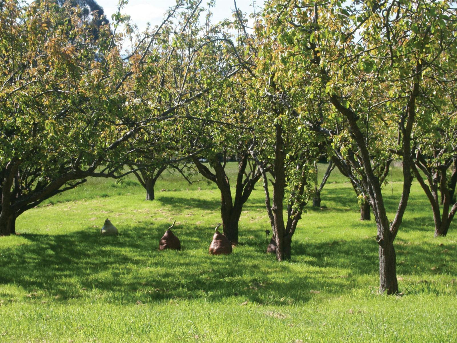 Pepperberries Garden Cafe - forest walks and farm