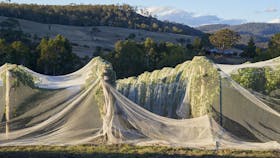 Wobbly Boot Vineyard