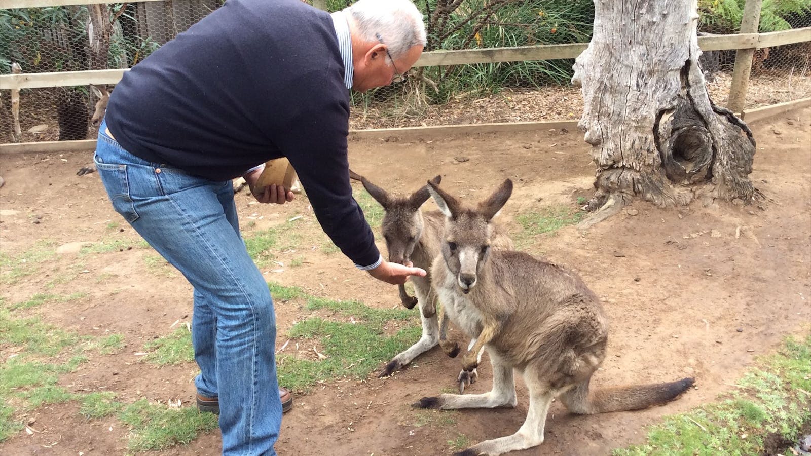 Bespoke Tasmania Tours