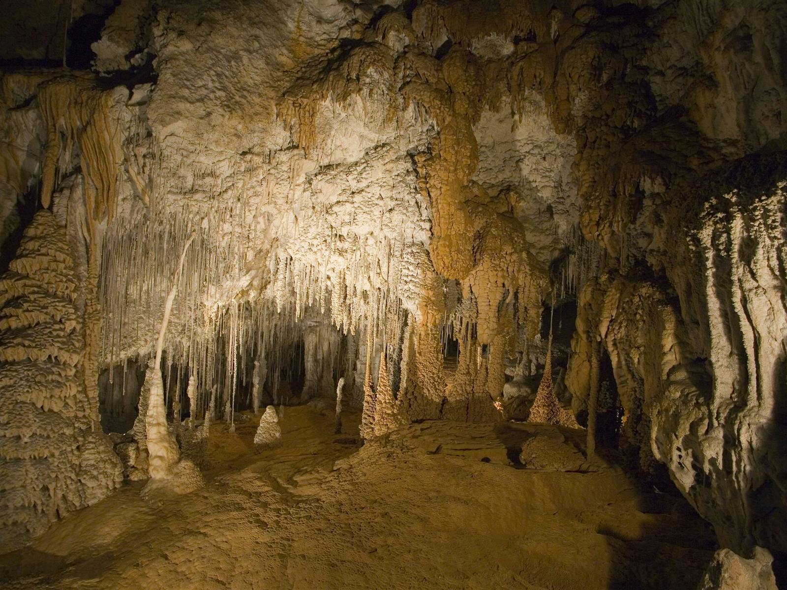 Marakoopa Cave Great Cathedral Tour