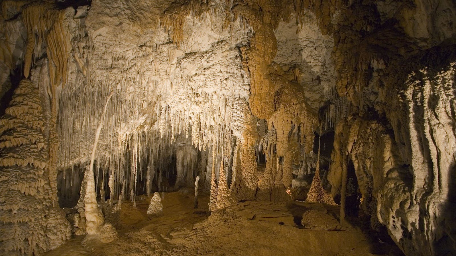 Mole Creek Caves