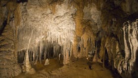 Marakoopa Cave Great Cathedral Tour