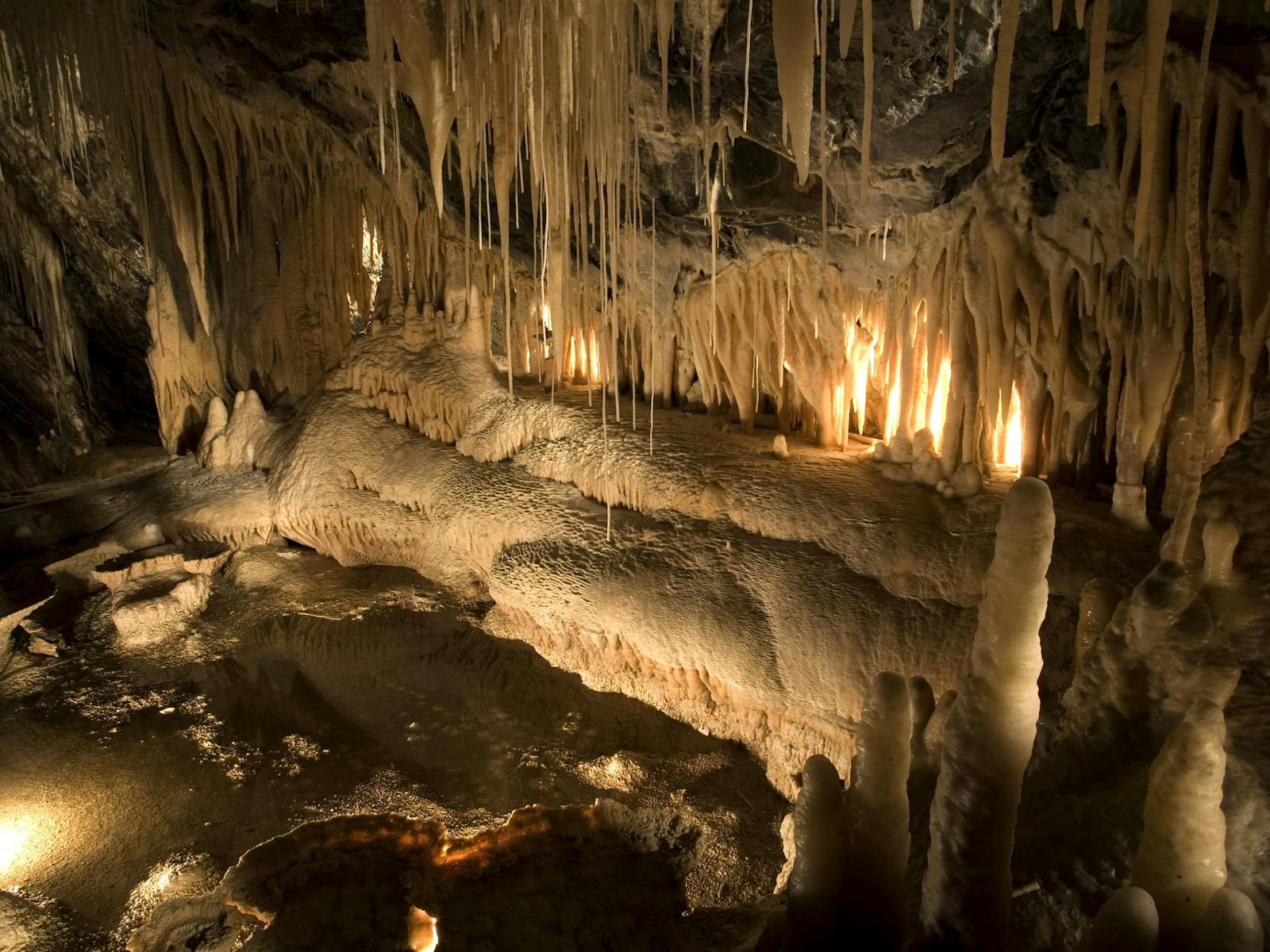 Marakoopa Cave Underground Rivers Tour